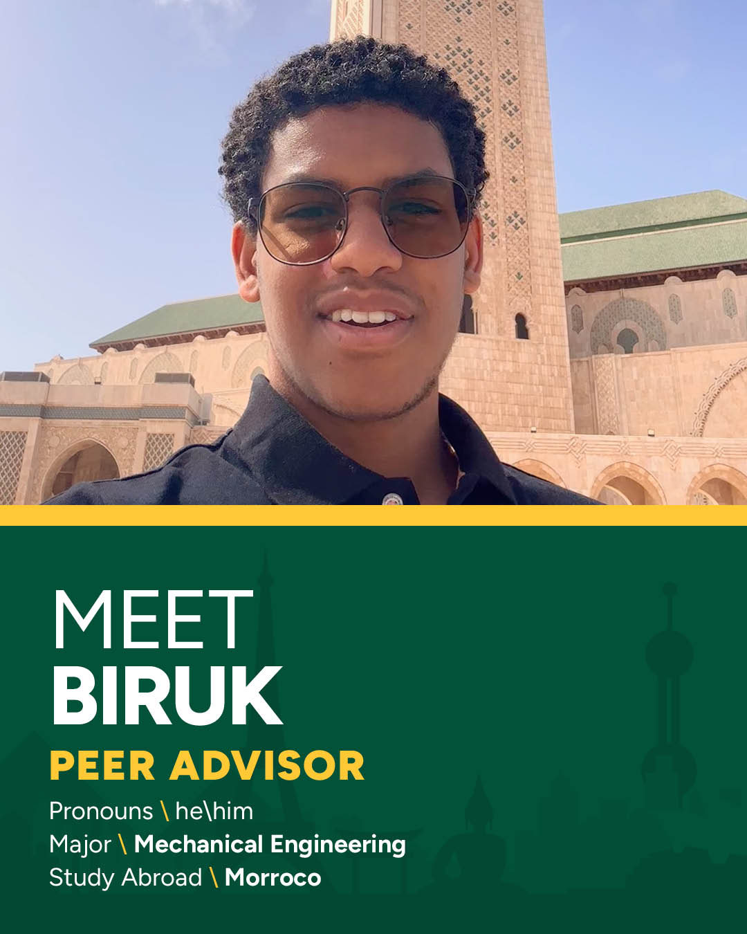 Peer Advisor Biruk
